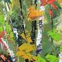 Palette de couleurs 12''x6''